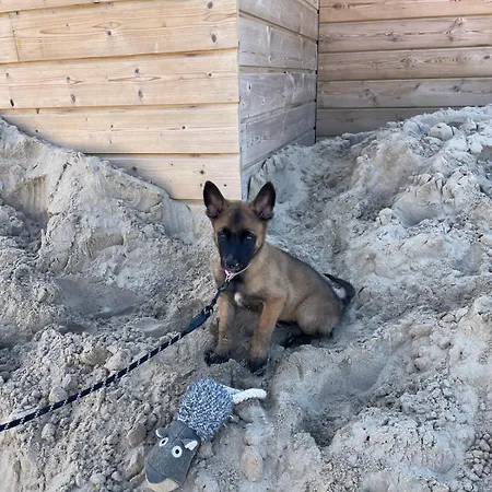 Διαμέρισμα Westhelling *