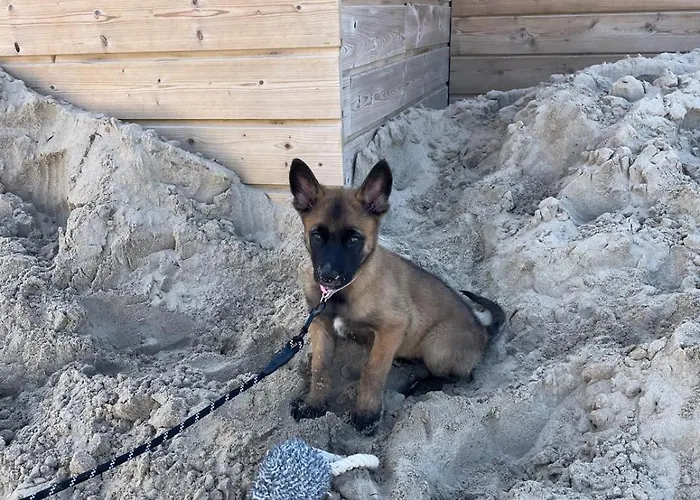 Apartamento Westhelling *